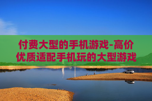 付费大型的手机游戏-高价优质适配手机玩的大型游戏