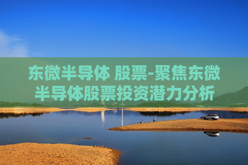 东微半导体 股票-聚焦东微半导体股票投资潜力分析