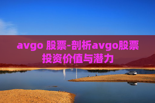avgo 股票-剖析avgo股票投资价值与潜力
