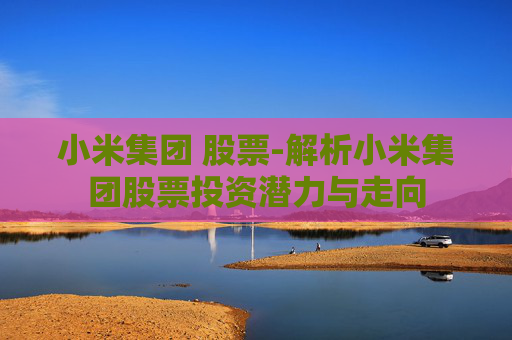 小米集团 股票-解析小米集团股票投资潜力与走向