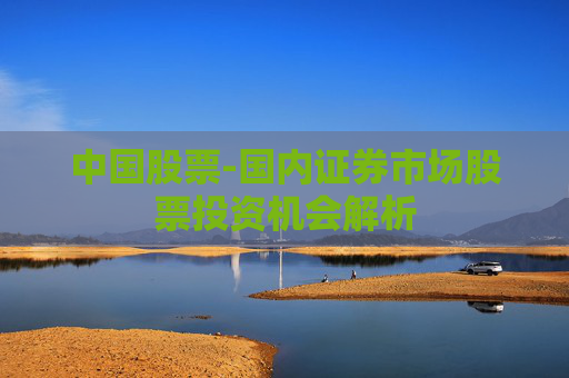 中国股票-国内证券市场股票投资机会解析