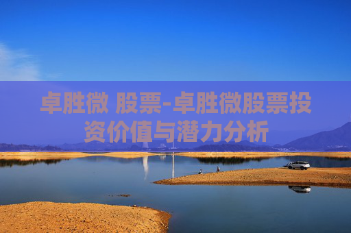 卓胜微 股票-卓胜微股票投资价值与潜力分析