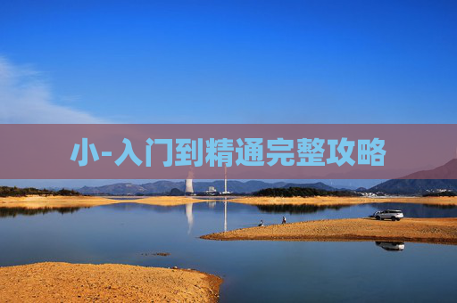 小-入门到精通完整攻略