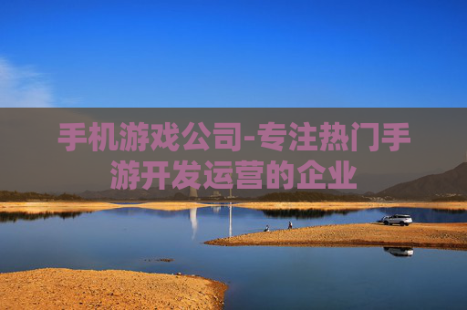 手机游戏公司-专注热门手游开发运营的企业