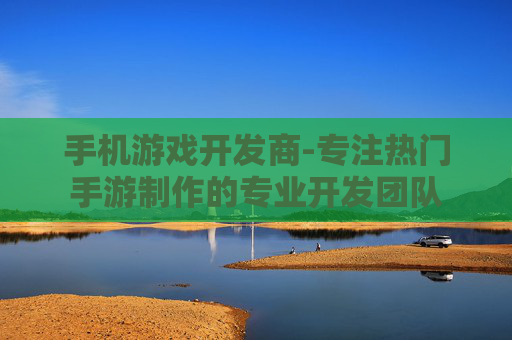 手机游戏开发商-专注热门手游制作的专业开发团队