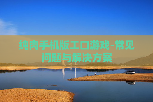 纯肉手机版工口游戏-常见问题与解决方案
