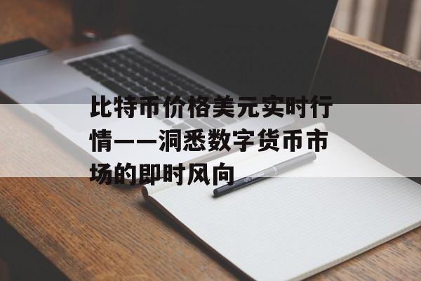 比特币价格美元实时行情——洞悉数字货币市场的即时风向