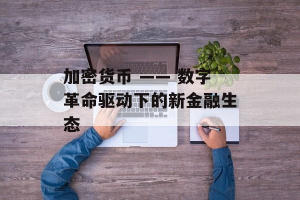 加密货币 —— 数字革命驱动下的新金融生态