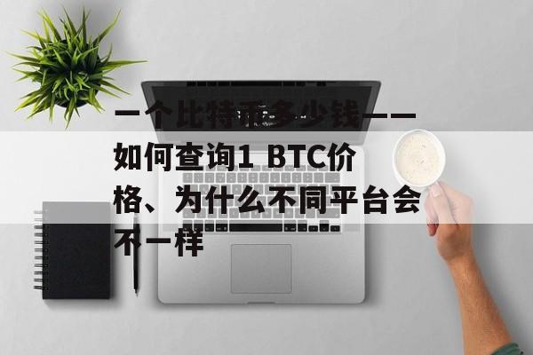 一个比特币多少钱——如何查询1 BTC价格、为什么不同平台会不一样