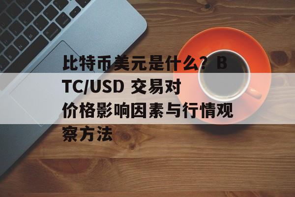 比特币美元是什么？BTC/USD 交易对价格影响因素与行情观察方法